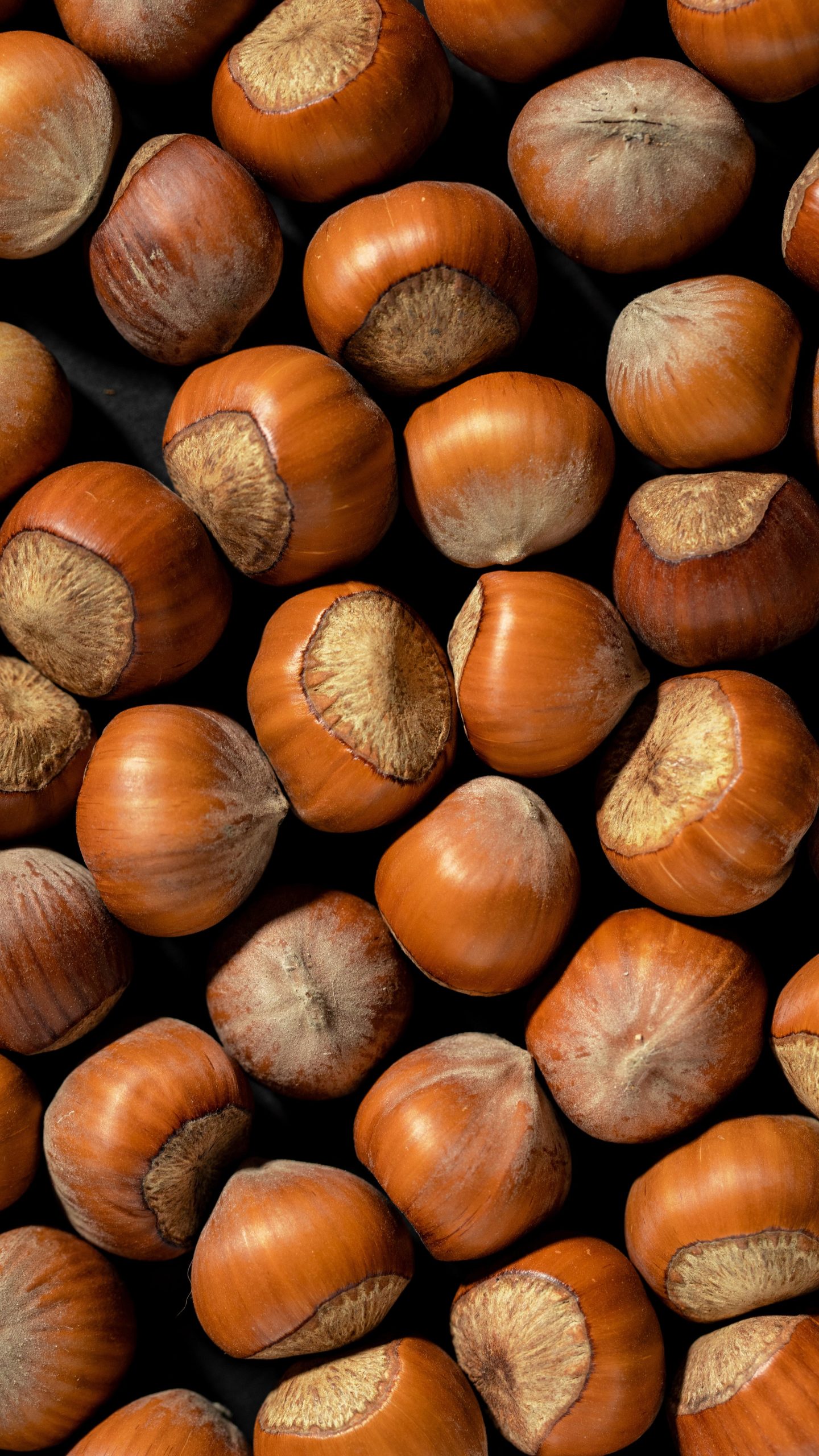 Castagne: come raccoglierle e alcune ricette per gustarle