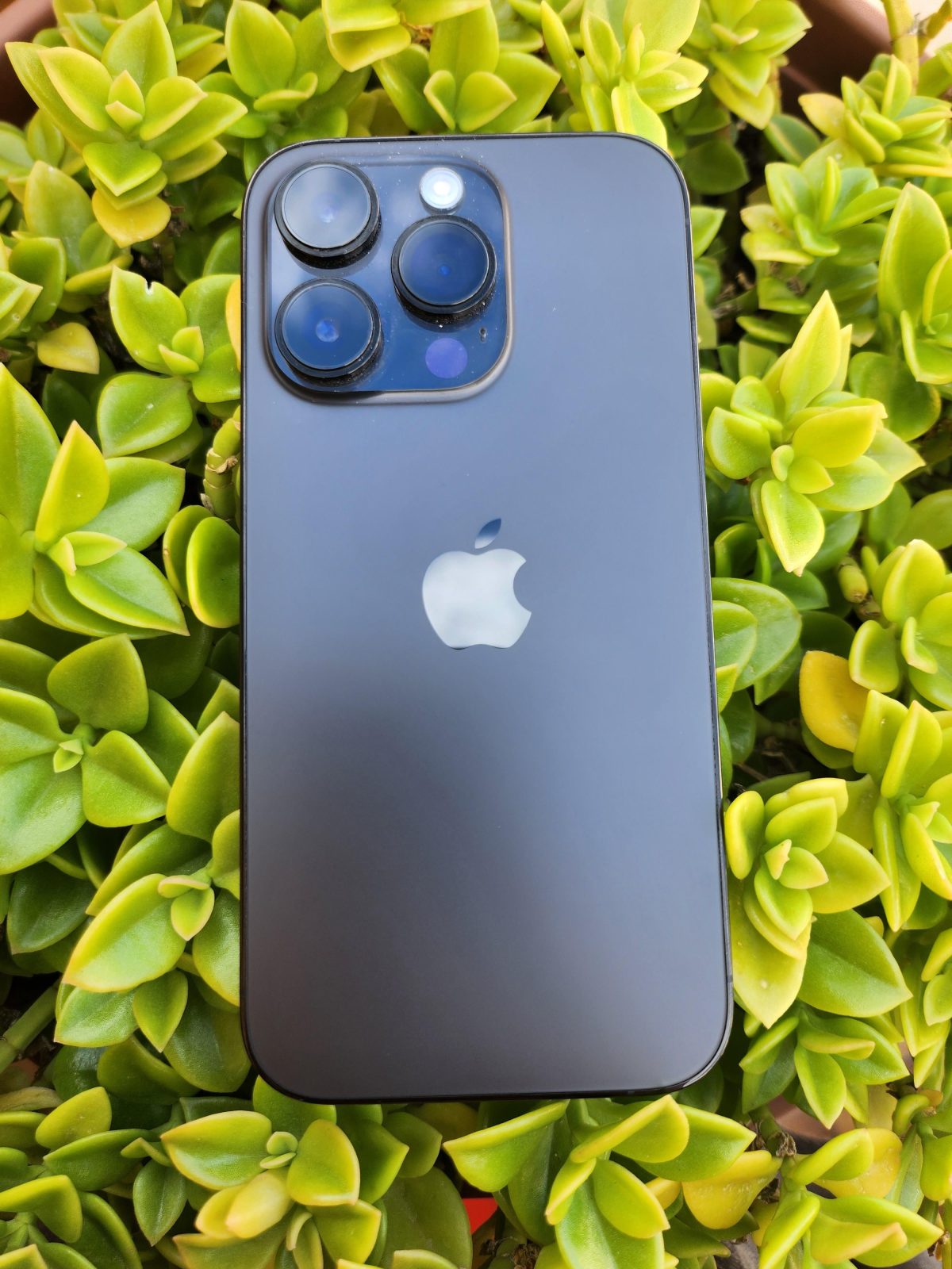 Galleria foto 'iPhone 14 Pro, perché comprarlo e perché no' - foto 3