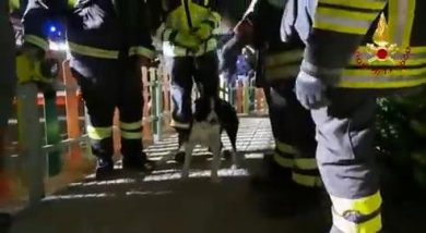 Crollata l’Aula Magna dell’Università di Cagliari I video