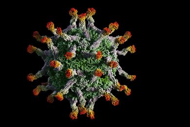 Il ritorno della polio (e il paradosso dei vaccini)