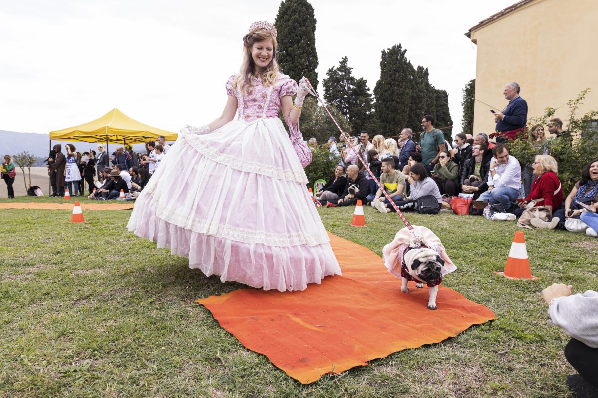Galleria foto 'Tornano le Ugopiadi, il raduno di carlini più originale al mondo' - foto 16