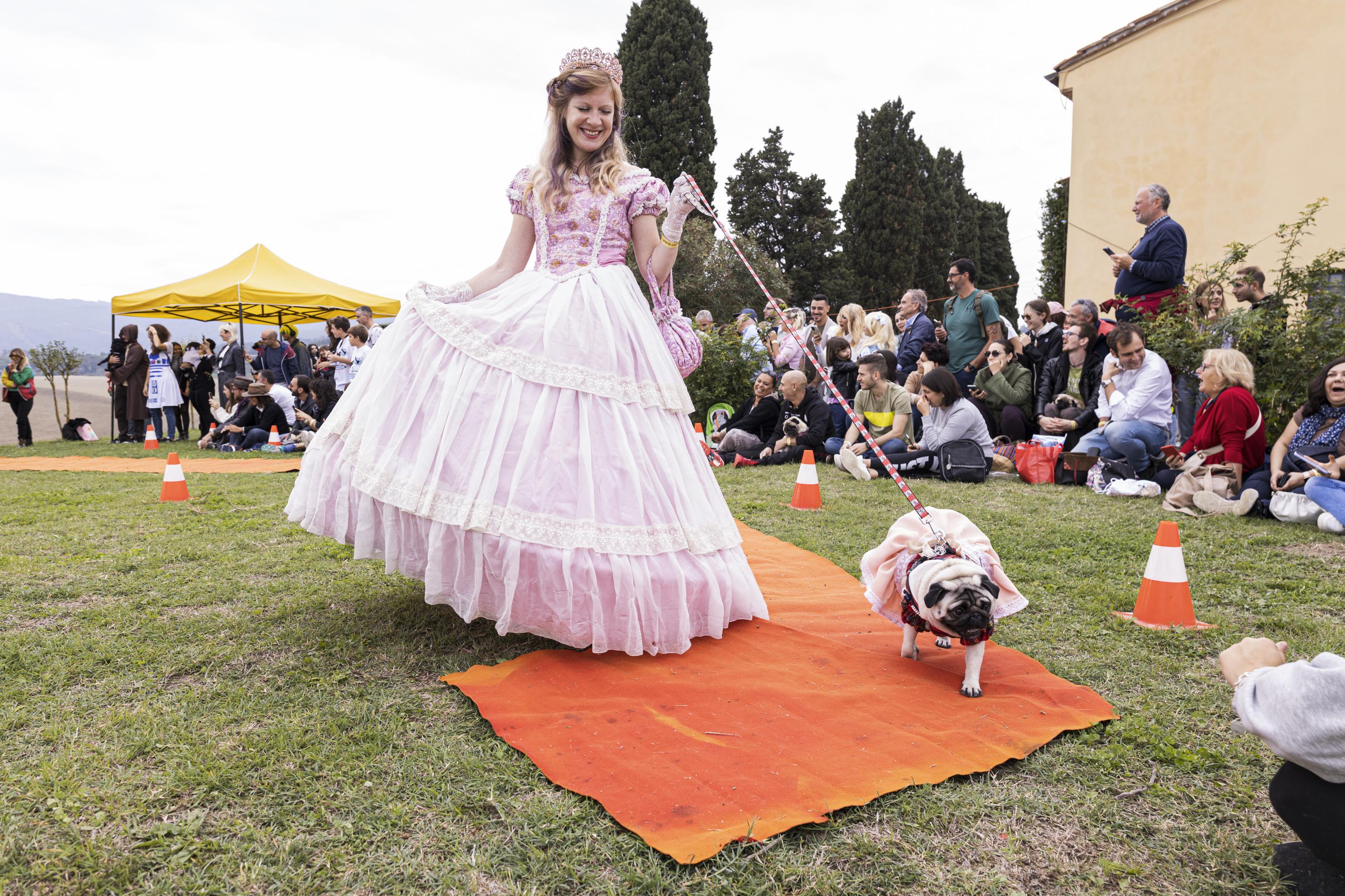 Tornano le Ugopiadi, il raduno di carlini più originale al mondo Tornano le Ugopiadi, il raduno di carlini più originale al mondo