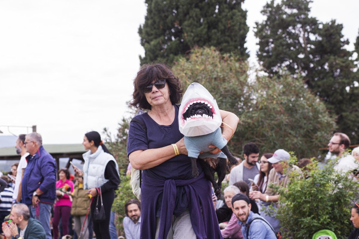 Galleria foto 'Tornano le Ugopiadi, il raduno di carlini più originale al mondo' - foto 17