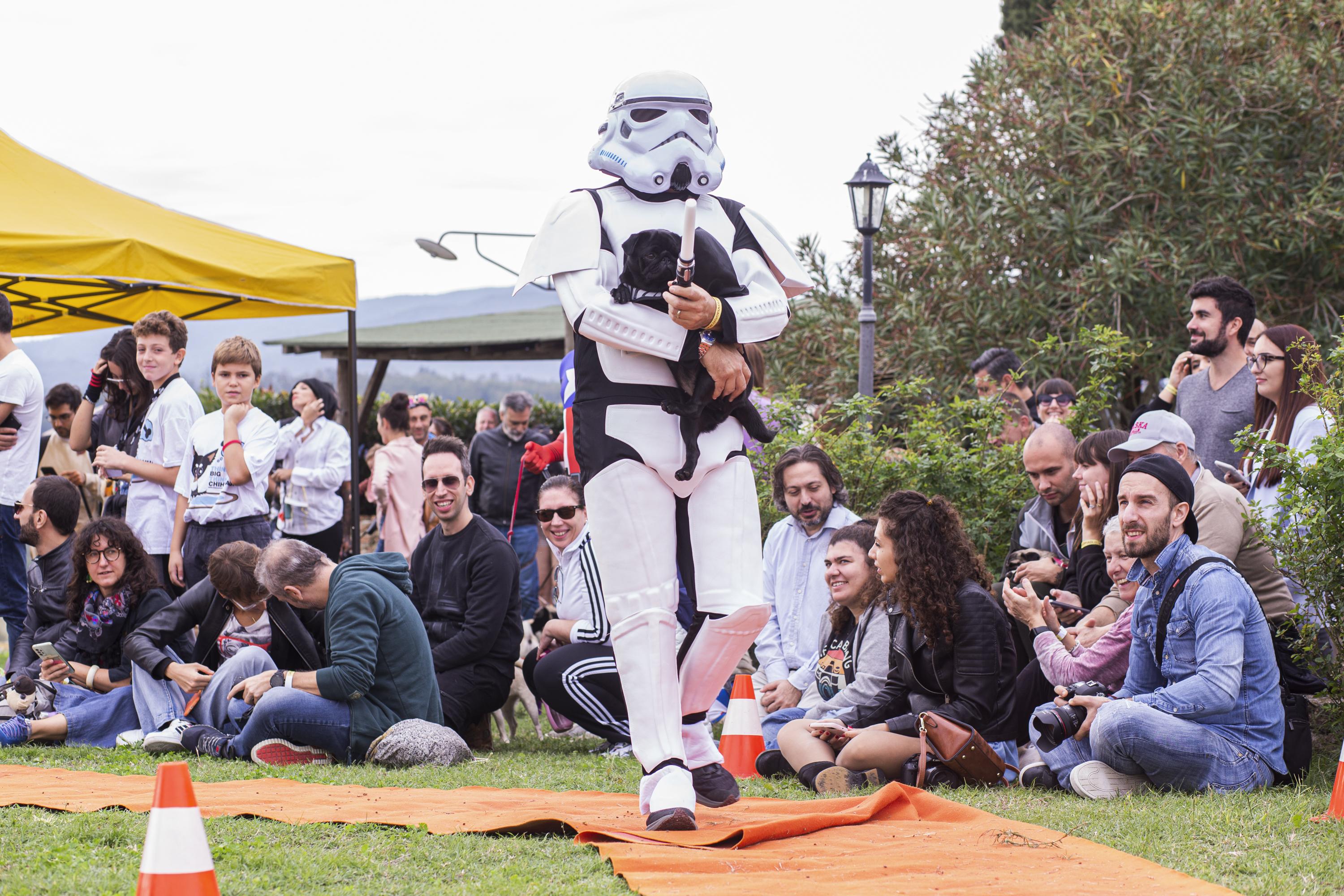 Tornano le Ugopiadi, il raduno di carlini più originale al mondo Tornano le Ugopiadi, il raduno di carlini più originale al mondo