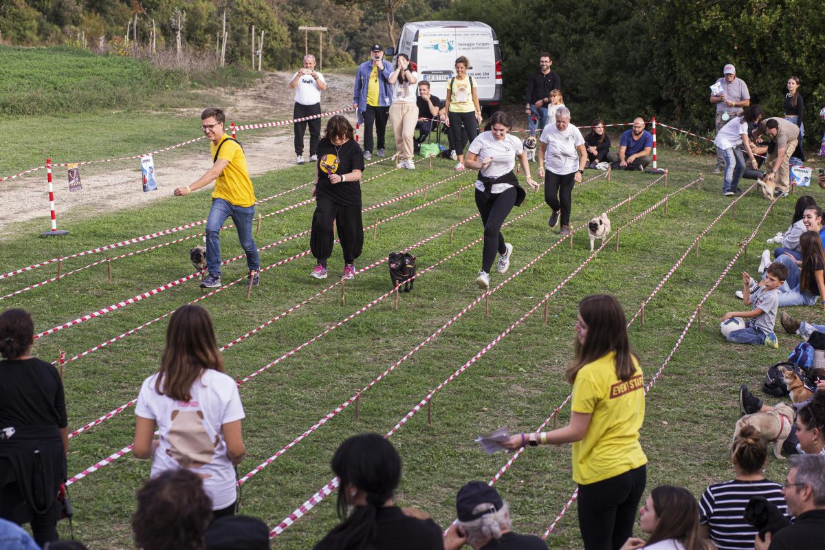 Galleria foto 'Tornano le Ugopiadi, il raduno di carlini più originale al mondo' - foto 12
