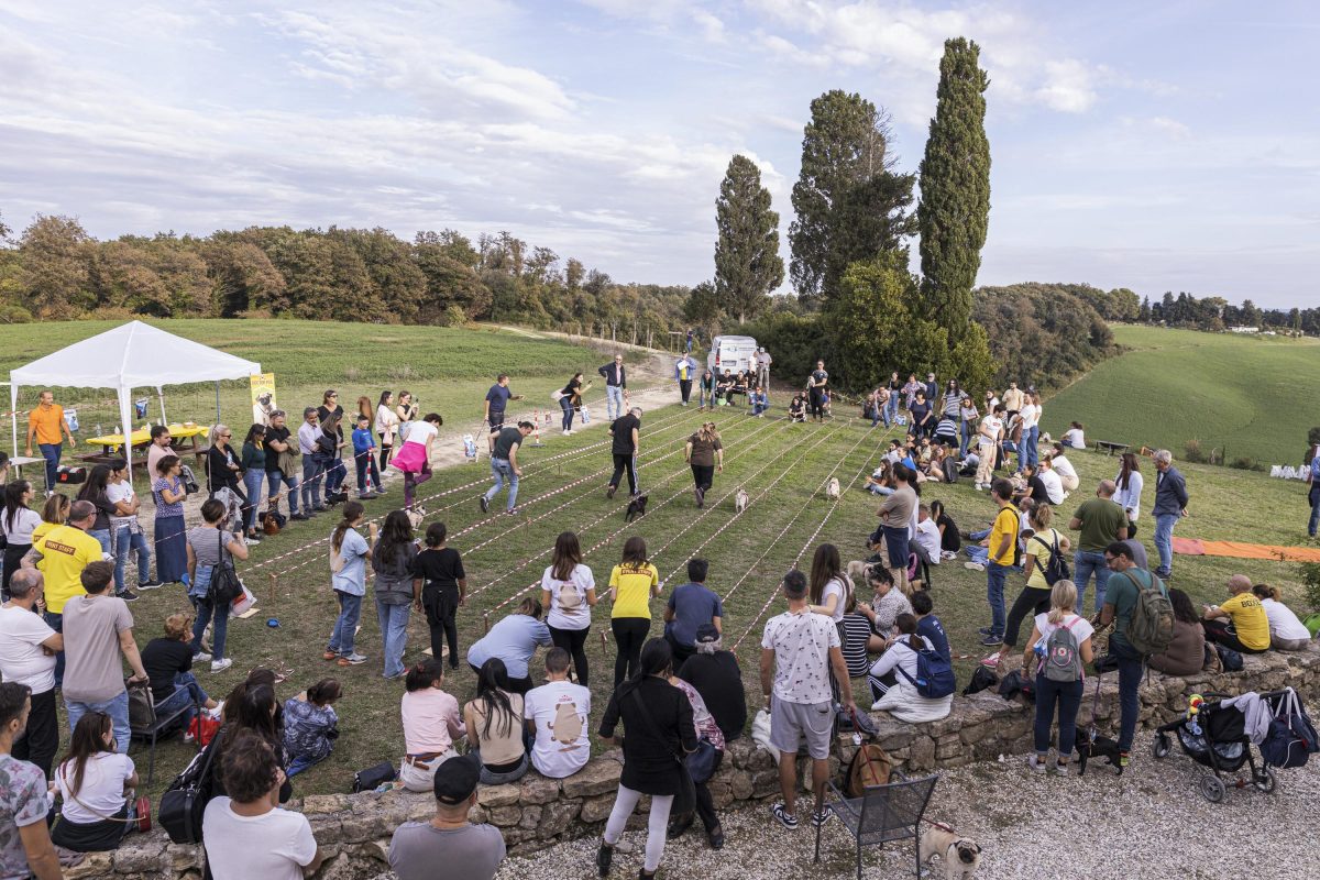 Galleria foto 'Tornano le Ugopiadi, il raduno di carlini più originale al mondo' - foto 3