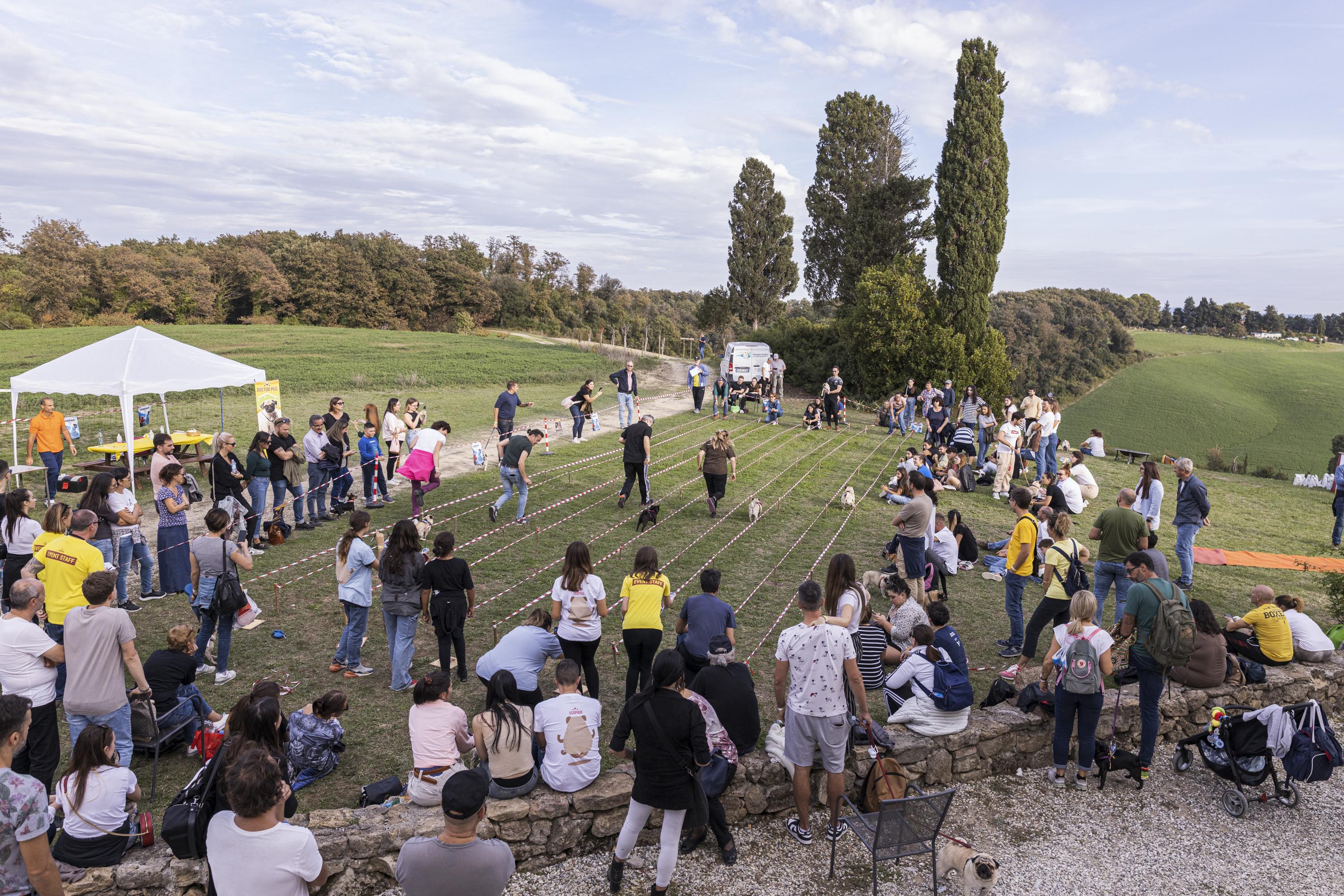 Tornano le Ugopiadi, il raduno di carlini più originale al mondo Tornano le Ugopiadi, il raduno di carlini più originale al mondo