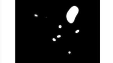 Il calendario della GdF con Armani a tutela del made in Italy e contro la contraffazione