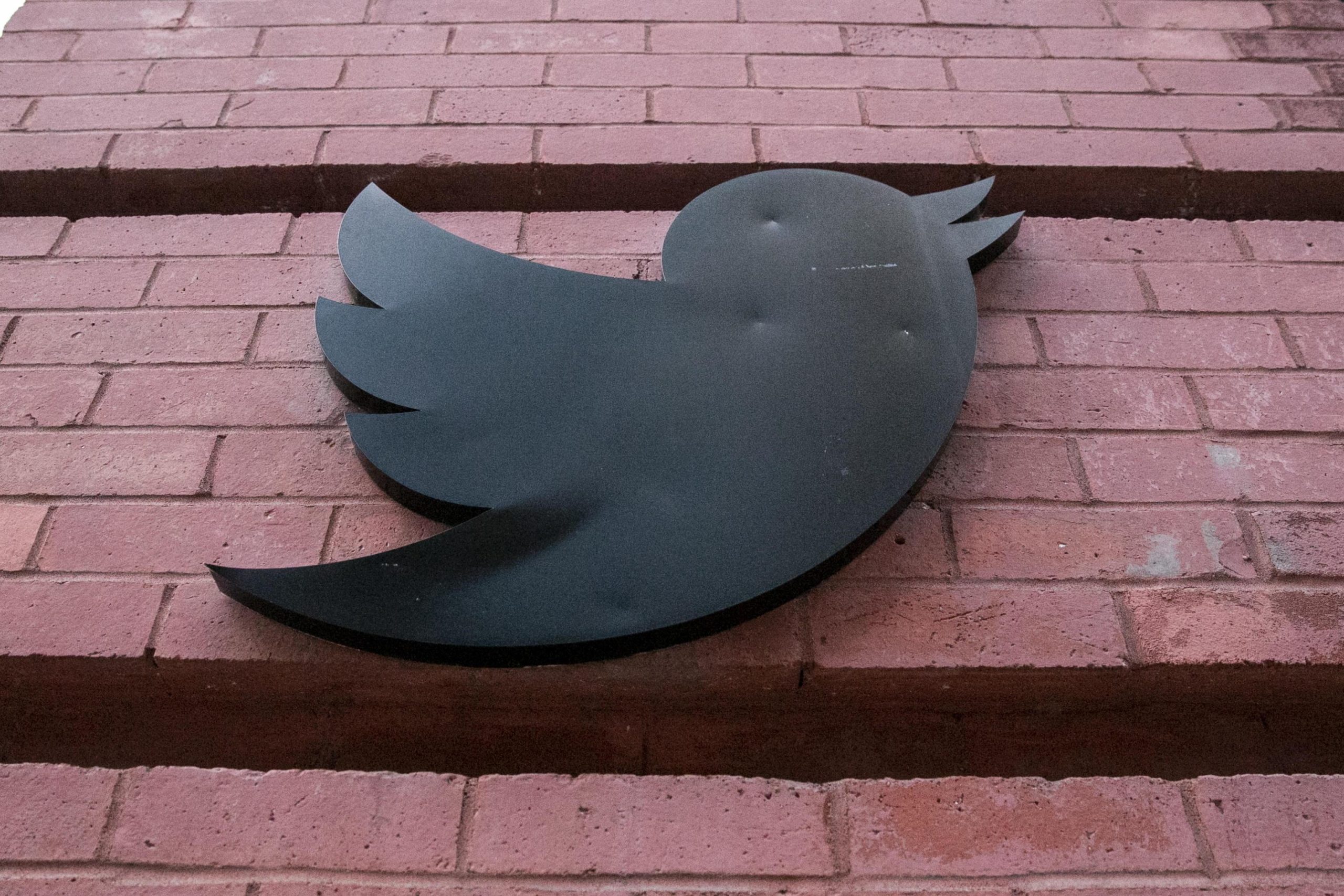 Caos a Twitter: tutti contro Elon Musk