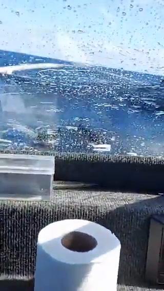 Incredibile pesca involontaria: squalo salta dentro una barca I video