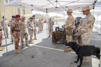 L’Italia è in Qatar per i mondiali di calcio (con l’esercito contro i terroristi)