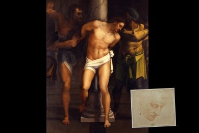 Michelangelo e Sebastiano, una collaborazione da scoprire e ammirare
