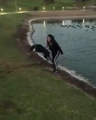 Cane trascina la padrona a fare un… bagno indesiderato I video