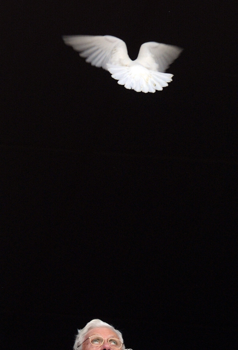 Papa Benedetto XVI, il pontificato in 30 foto