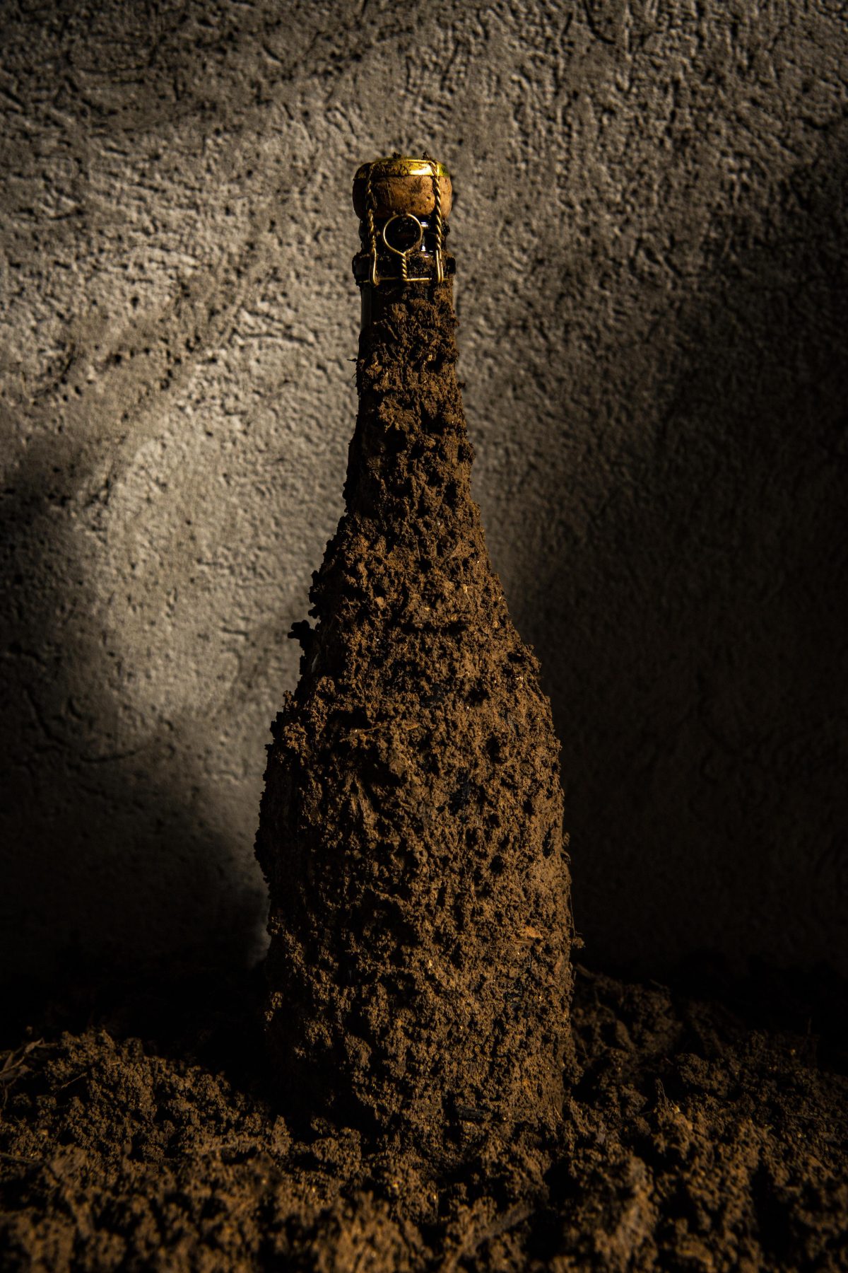 Galleria foto 'Généalogie: metafore inedite reinterpretano il mondo dello champagne' - foto 7