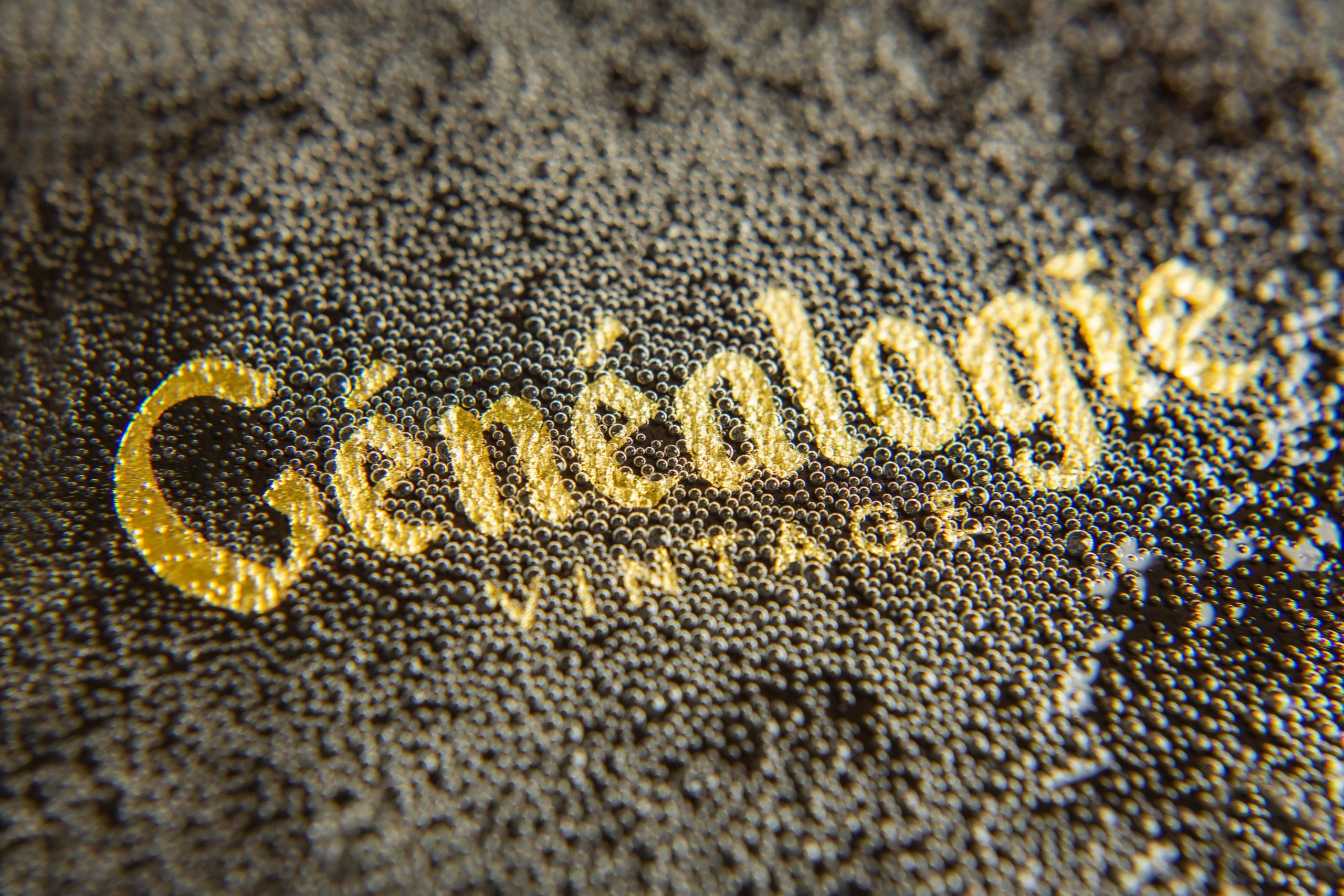 Généalogie: metafore inedite reinterpretano il mondo dello champagne