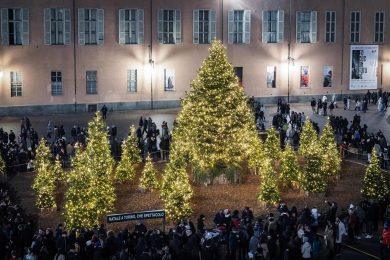 Meglio un albero di Natale vero o finto (per l’ambiente)?
