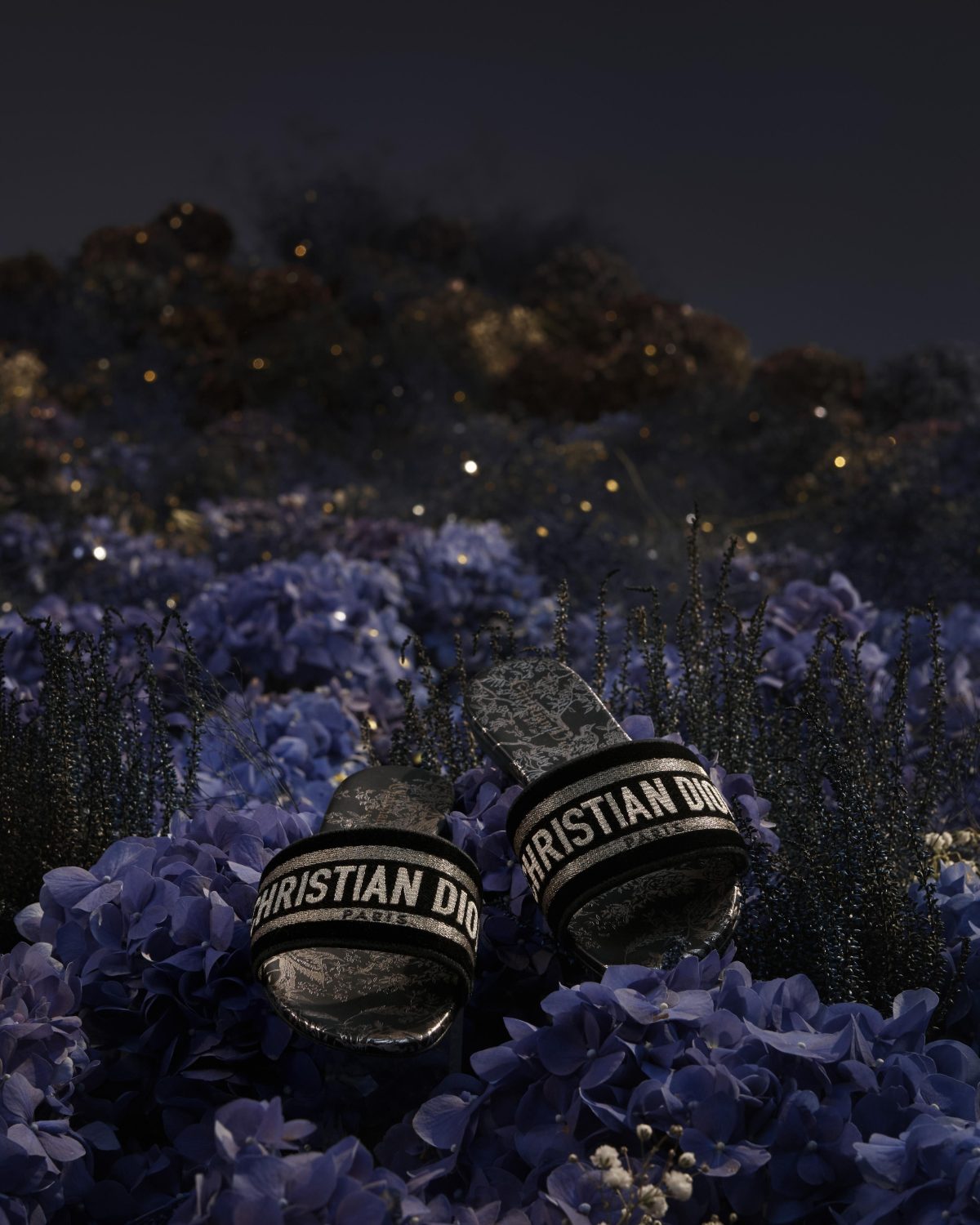 Galleria foto 'Monsieur Dior e l’atelier di marzapane' - foto 14