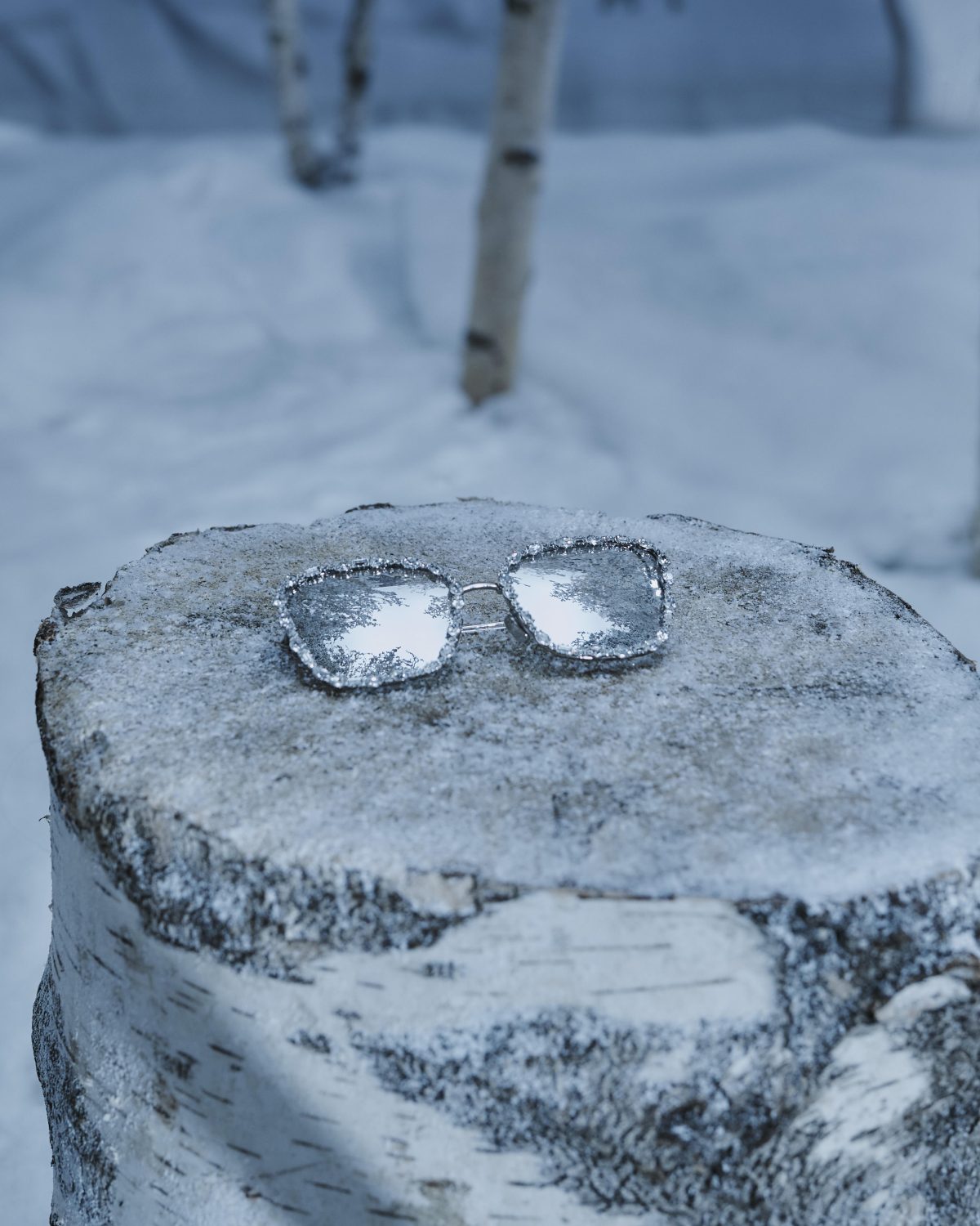 Galleria foto 'Monsieur Dior e l’atelier di marzapane' - foto 13