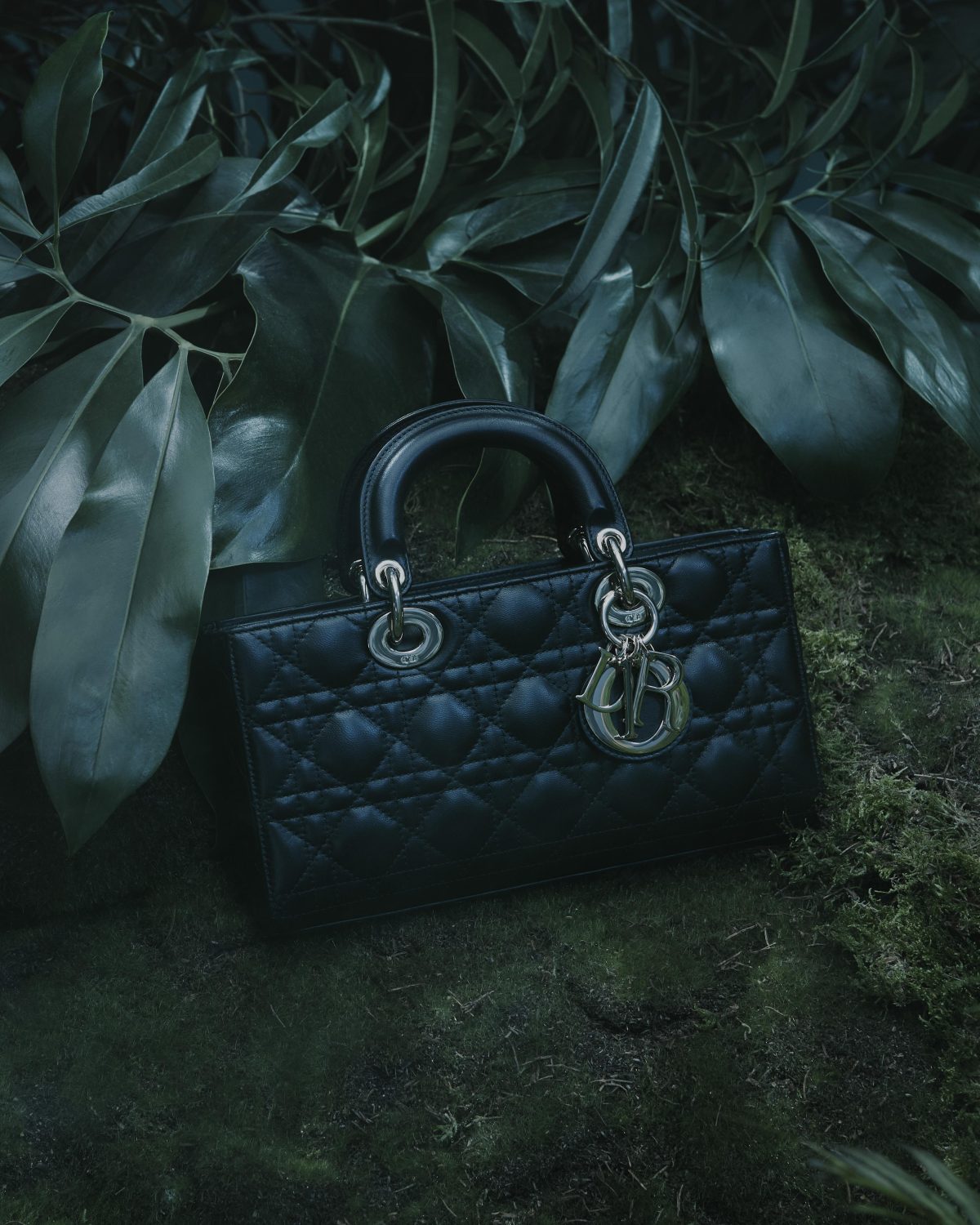 Galleria foto 'Monsieur Dior e l’atelier di marzapane' - foto 10