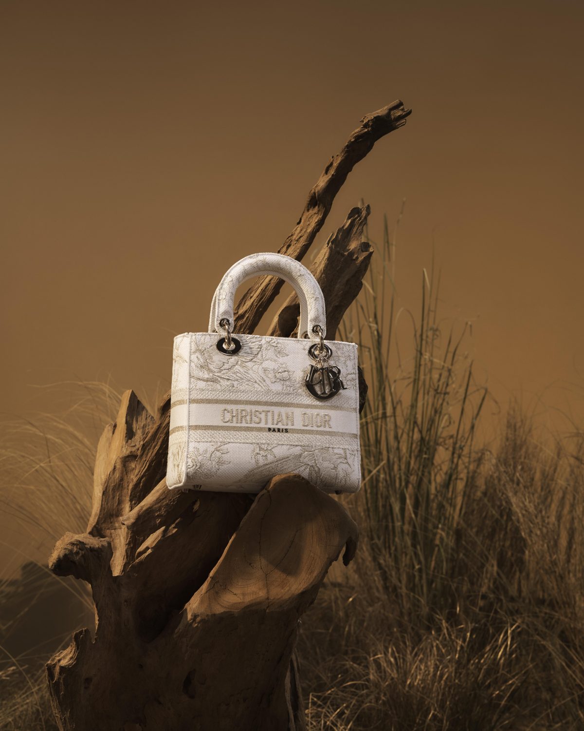 Galleria foto 'Monsieur Dior e l’atelier di marzapane' - foto 8