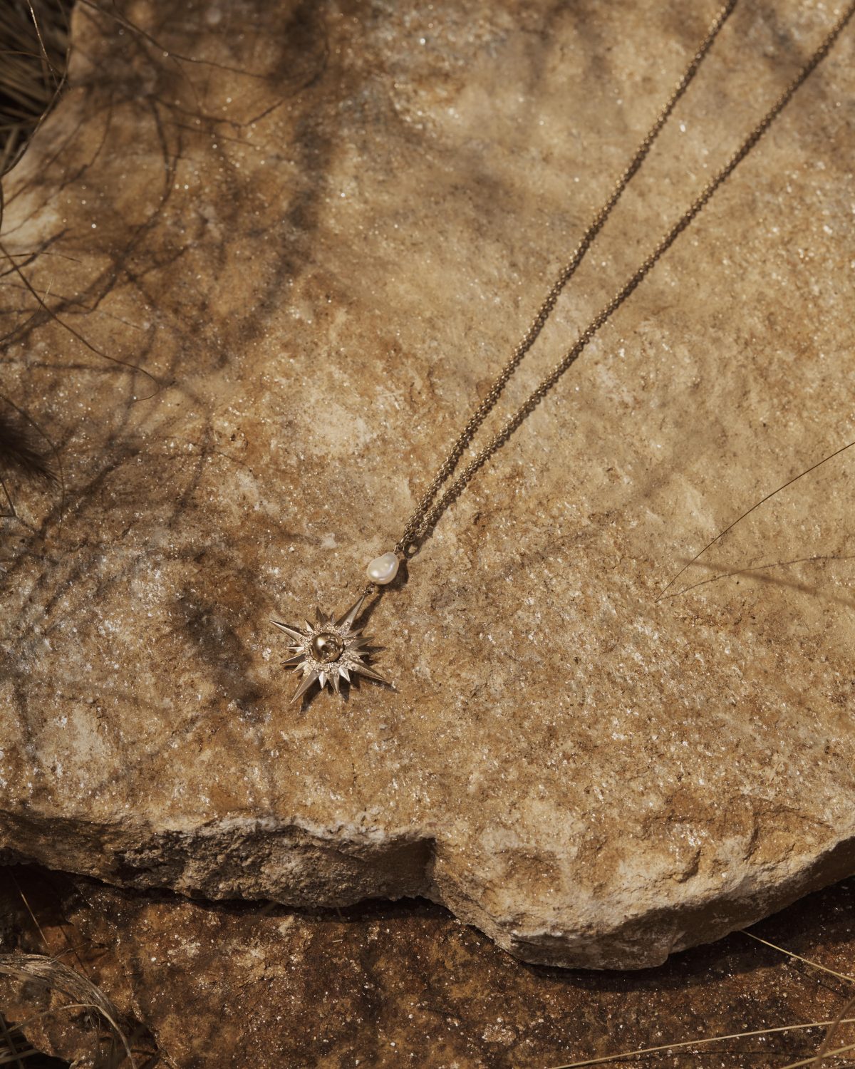 Galleria foto 'Monsieur Dior e l’atelier di marzapane' - foto 7