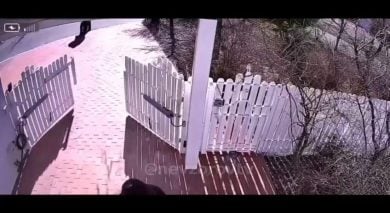 Soldati russi rubano in una casa in Ucraina | video