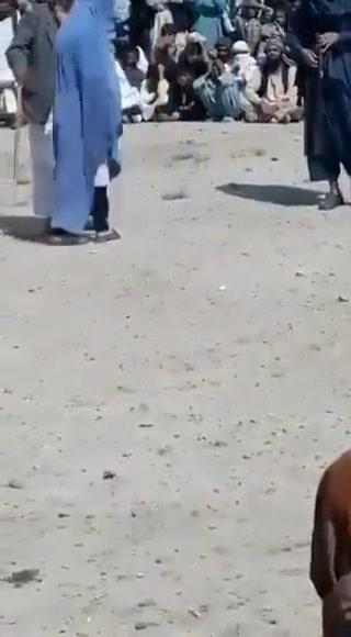 Donna frustata per aver usato lo smartphone | video