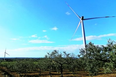 Il futuro verde di Enel