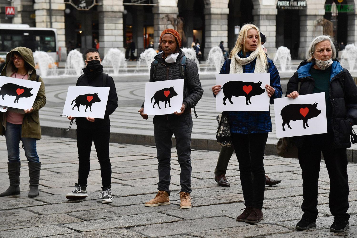 Il furore animalista è irragionevole Il furore animalista è irragionevole