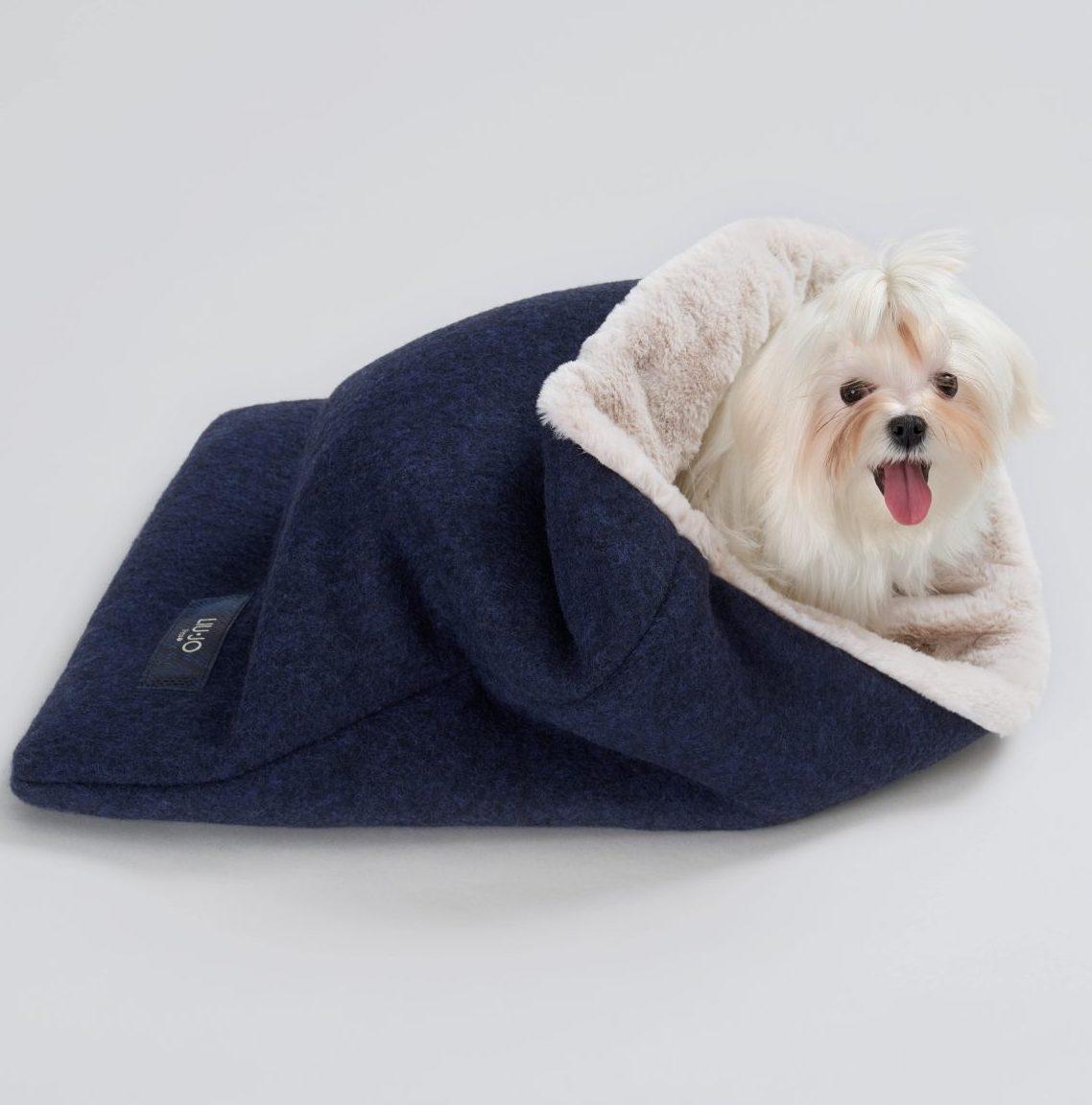 Petwear e Petcare, le ultime novità della moda a quattro zampe