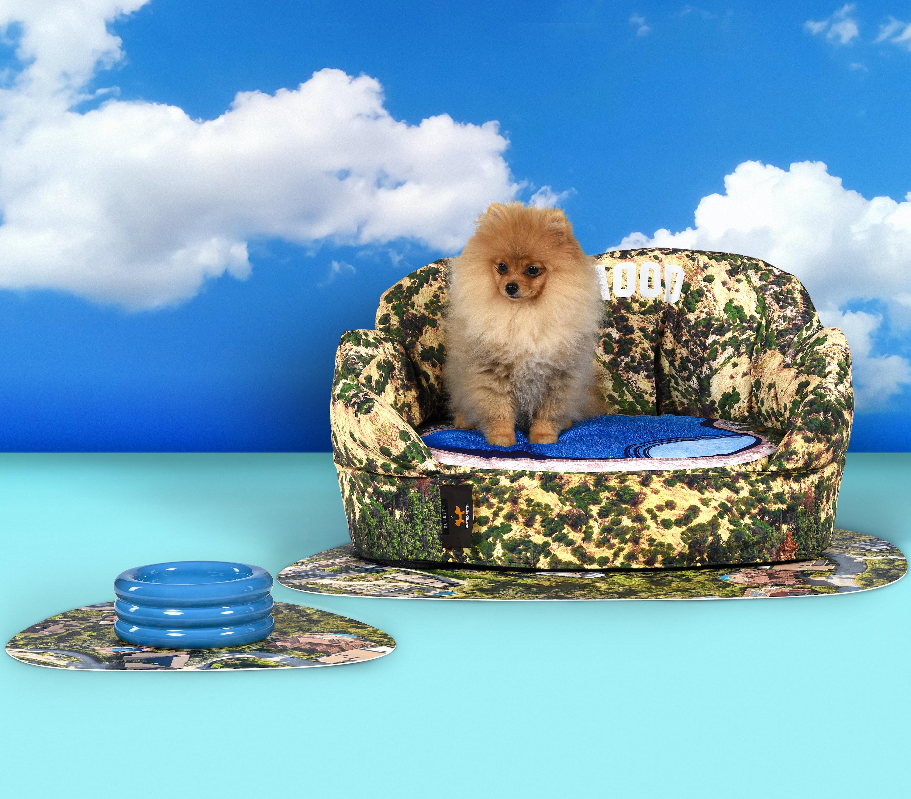 Petwear e Petcare, le ultime novità della moda a quattro zampe