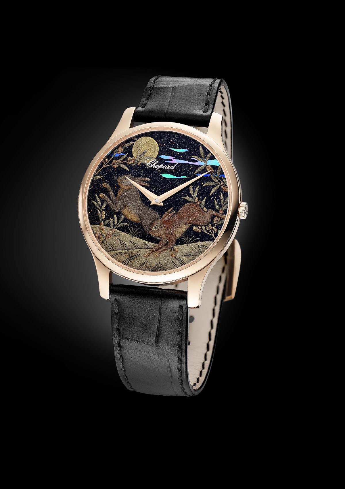 Galleria foto 'L’eleganza del coniglio' - foto 7