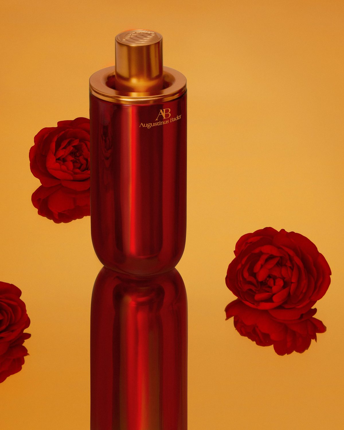 Galleria foto 'L’eleganza del coniglio' - foto 6