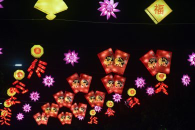 Lo spettacolo del Capodanno cinese a Singapore