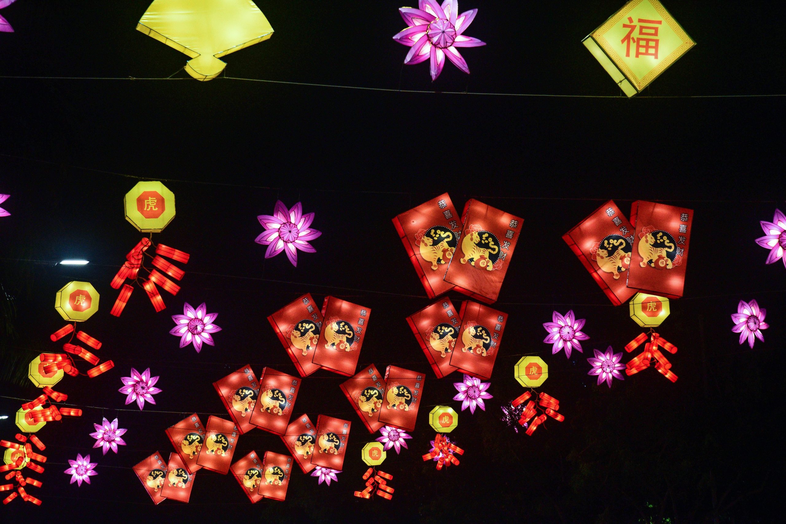 Lo spettacolo del Capodanno cinese a Singapore Lo spettacolo del Capodanno cinese a Singapore