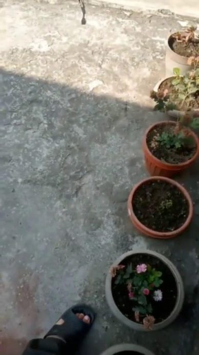 Incidente aereo in Nepal; il video degli ultimi istanti del volo