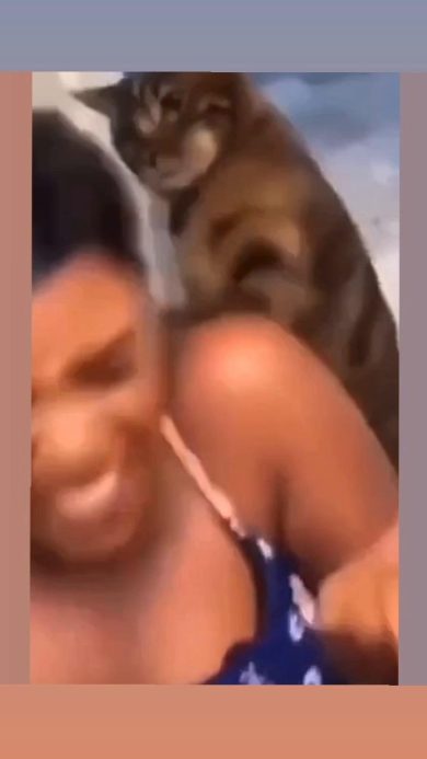 Donna presa a zampate dal proprio gatto | video