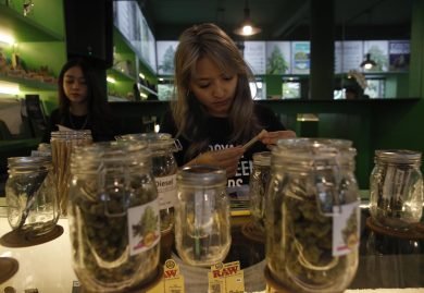 Cannabis terapeutica, l’Italia punta all’autonomia con l’Esercito