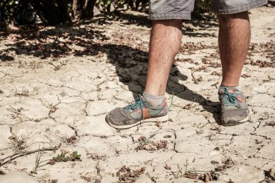 Allarme siccità: 53% di neve in meno sulle Alpi, raggiunta severità idrica