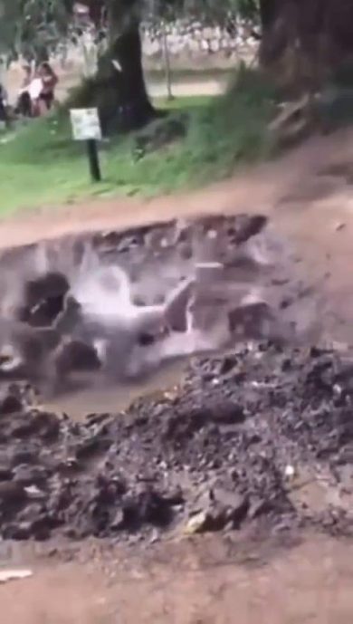 Bimba si dondola con una liana ma cade nel fango | video