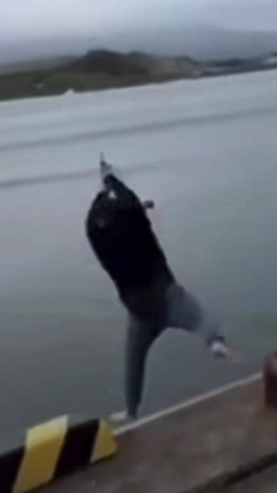 Pescatore si lancia per catturare un pesce | video