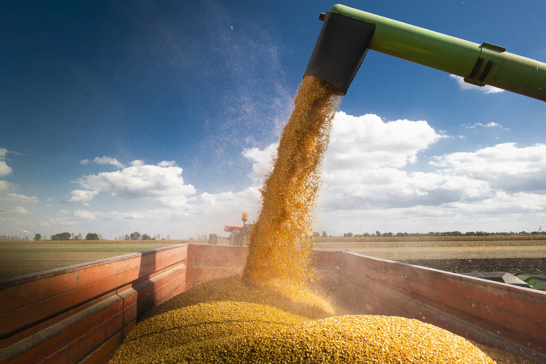 Agri-diplomazia, il futuro del cibo passa da qui Agri-diplomazia, il futuro del cibo passa da qui