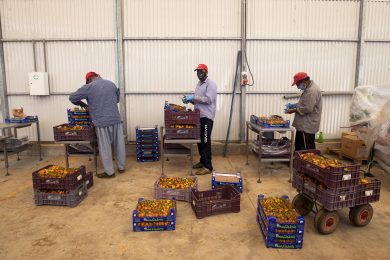 «Ben venga il decreto flussi per i lavoratori migranti»