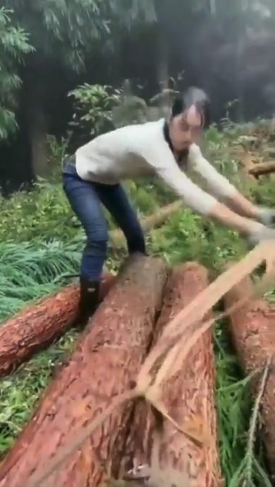 Boscaiola trasporta ingegnosamente due tronchi d’albero | video