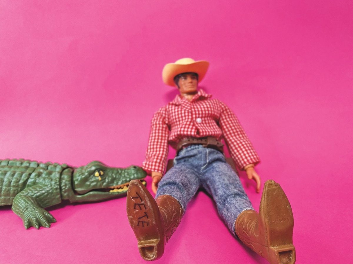 Galleria foto 'I cacciatori di giochi' - foto 2