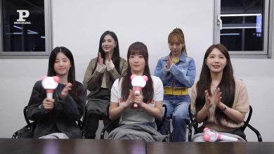 Leggende del K-pop: ecco le Apink