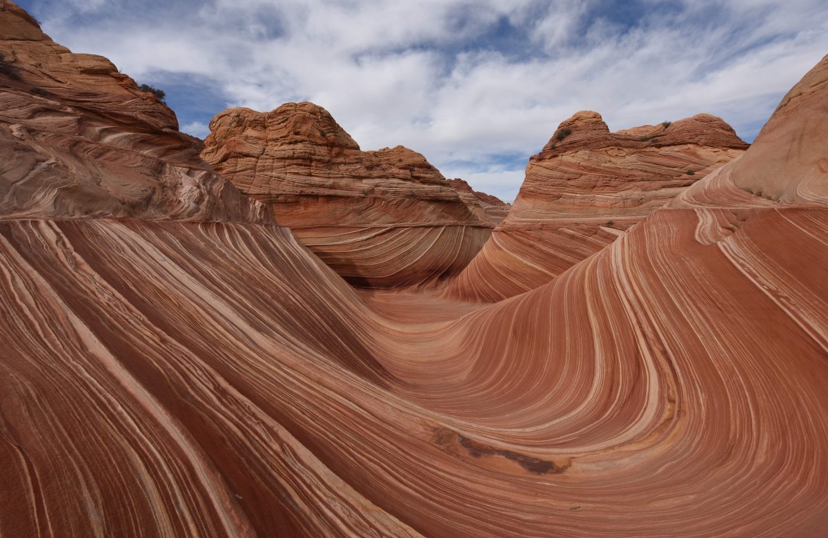 Galleria foto '22 aprile: Giornata Mondiale della Terra | foto' - foto 10