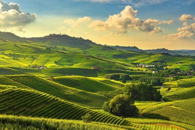 Il Monopoli della vigna