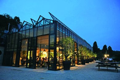 Mr. Gaga fa danzare nell’Eden